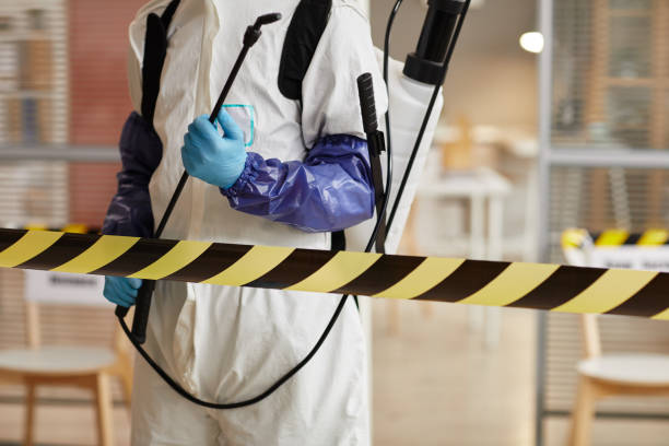 Professional Hoarding Cleanup technician working in Rimforest, CA